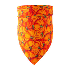 Load image into Gallery viewer, Bandana Halloween