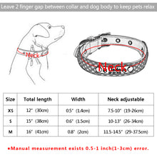 Load image into Gallery viewer, Collar Personalized Engraved