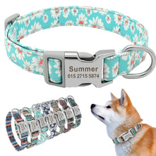 Load image into Gallery viewer, Collar Personalized Green