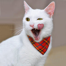 Load image into Gallery viewer, Cat Bandana Green & Red