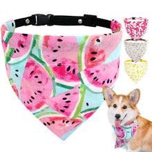 Load image into Gallery viewer, Bandana fruit