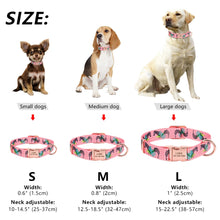 Load image into Gallery viewer, Collar Personalized Custom Nylon

