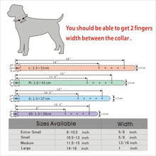 Load image into Gallery viewer, Collars Personalized Pink
