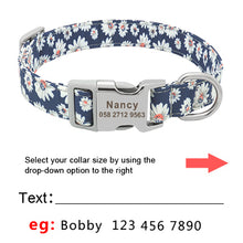 Load image into Gallery viewer, Collar Personalized Green
