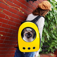 Load image into Gallery viewer, Backpack Capsule Bag
