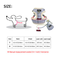 Load image into Gallery viewer, Leash Soft Pink
