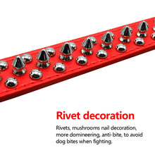 Load image into Gallery viewer, Cool Spiked Rivet Studded
