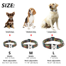 Load image into Gallery viewer, Collar Personalized Nylon
