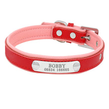 Load image into Gallery viewer, Collar Personalized Engraved
