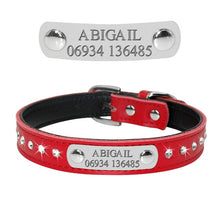 Load image into Gallery viewer, Collar Personalized Engraved
