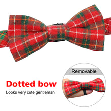 Load image into Gallery viewer, Collar Red &amp; Black
