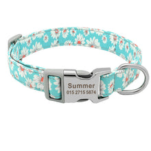 Load image into Gallery viewer, Collar Personalized Green
