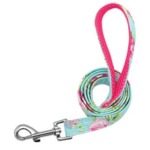 Load image into Gallery viewer, Collar Custom Nylon Pink
