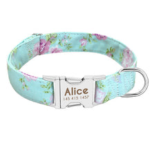 Load image into Gallery viewer, Collar Custom Nylon Pink
