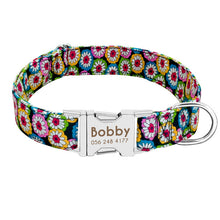 Load image into Gallery viewer, Collar Custom Nylon Pink

