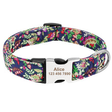 Load image into Gallery viewer, Collar Personalized Nylon
