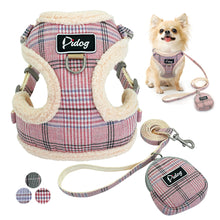 Load image into Gallery viewer, Leash Soft Pink
