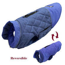 Load image into Gallery viewer, Jacket pink &amp; Blue
