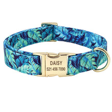 Load image into Gallery viewer, Collar Personalized Custom Nylon
