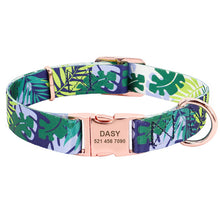 Load image into Gallery viewer, Collar Personalized Custom Nylon

